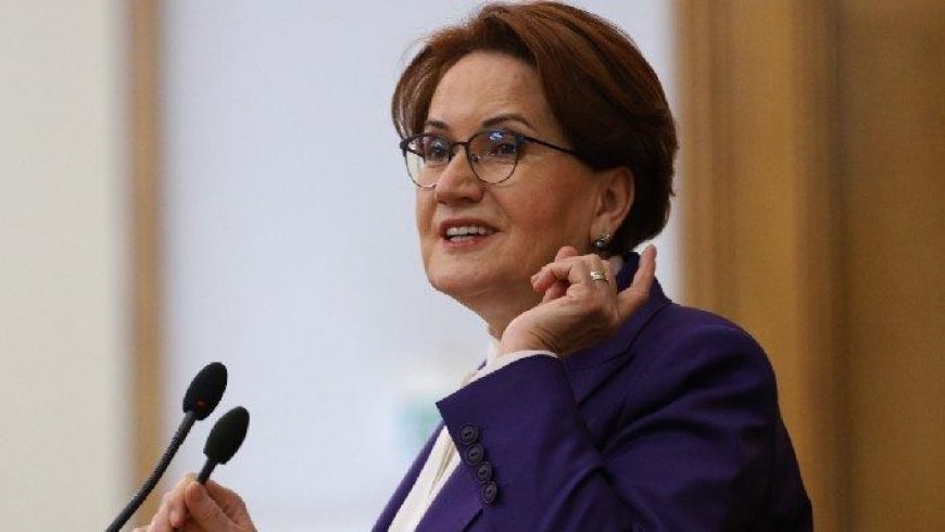 رئيسة حزب الخير التركي ميرال أكشنار