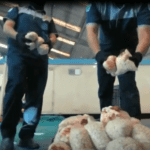 مصنع مخدرات لبنان