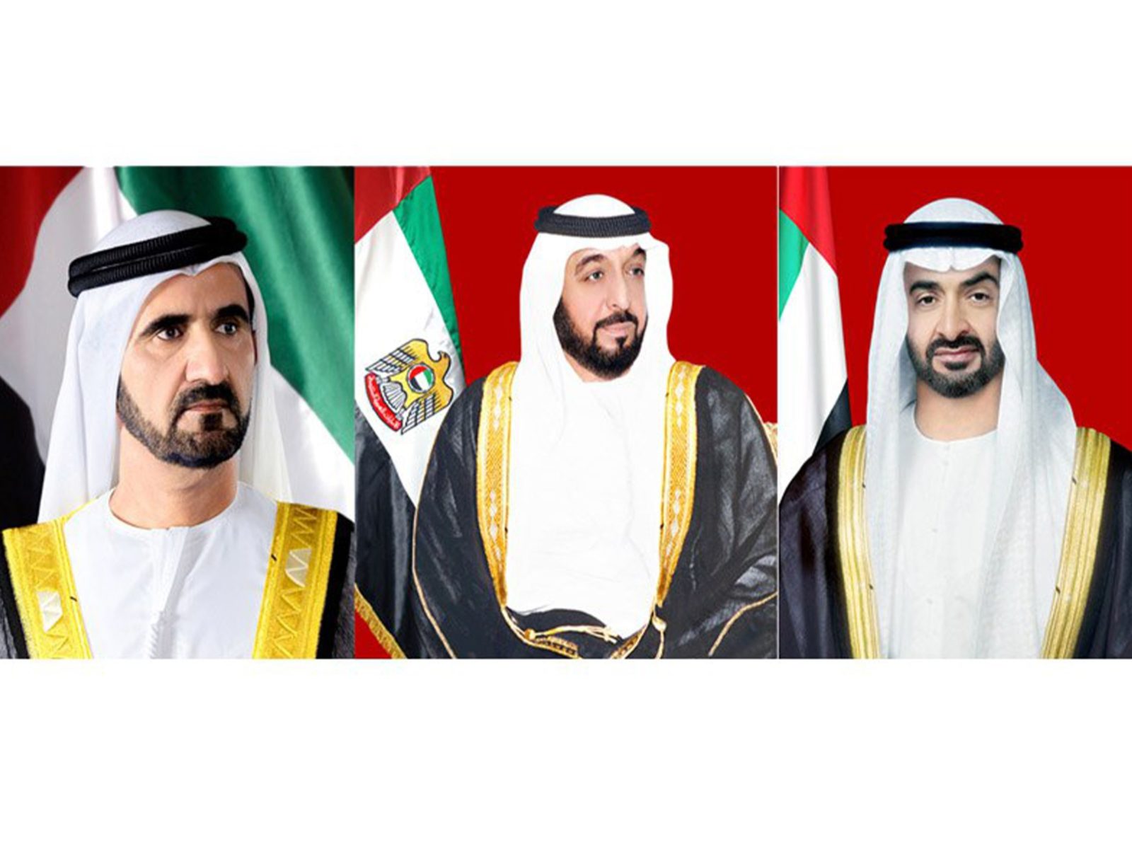 الرئيس الألماني