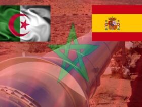 الصلح بين إسبانيا والجزائر