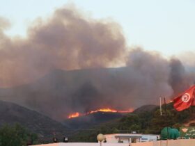 حريق برج السدرية