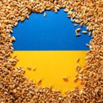 تصدير القمح الأوكراني