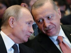 قرار بوتين وأردوغان