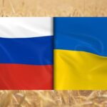 صفقة الحبوب الأوكرانية