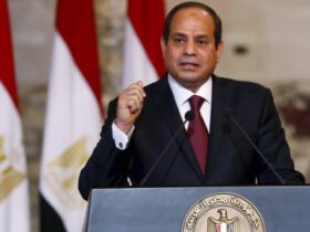 مخططان الإخوان في مصر