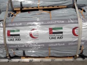 مساعدات الإمارات لسوريا وتركيا