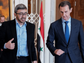 دعم الإمارات لسوريا وتركيا