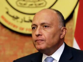وزير خارجية مصر في سوريا