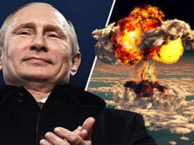 الطائرات التي نشرها بوتين