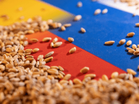 تصدير الحبوب الأوكرانية عبر البحر الأسود