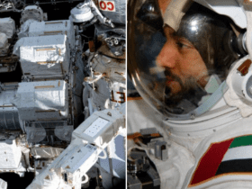 سلطان النيادي