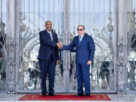 البرهان في مصر