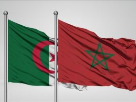 دعم الجزائر للمغرب بعد الزلزال